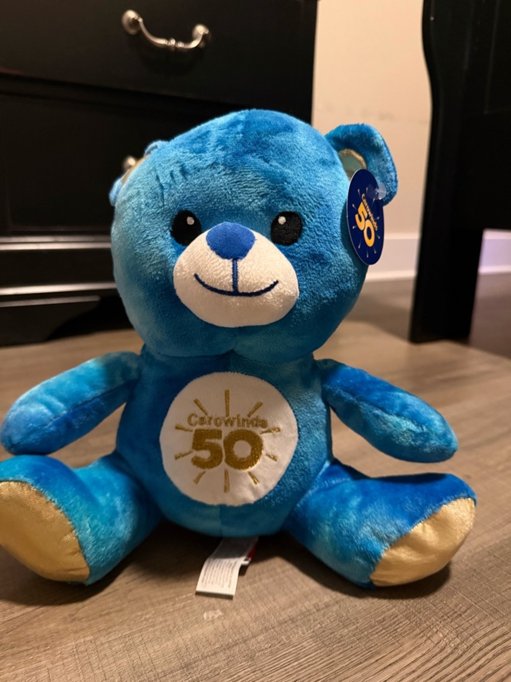 Carowinds Amusement park Blue Plush Bear with Gold Accents - 50th Anniversary